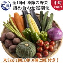 【ふるさと納税】米5kgと卵20個付き！野菜の詰め合わせ定期便10回(中旬)【定期便】【J0-001】 米 ご飯 お米 白米 5キロ 卵 たまご タマゴ 野菜 詰め合わせ 定期便 季節の野菜 旬 九州 松浦市