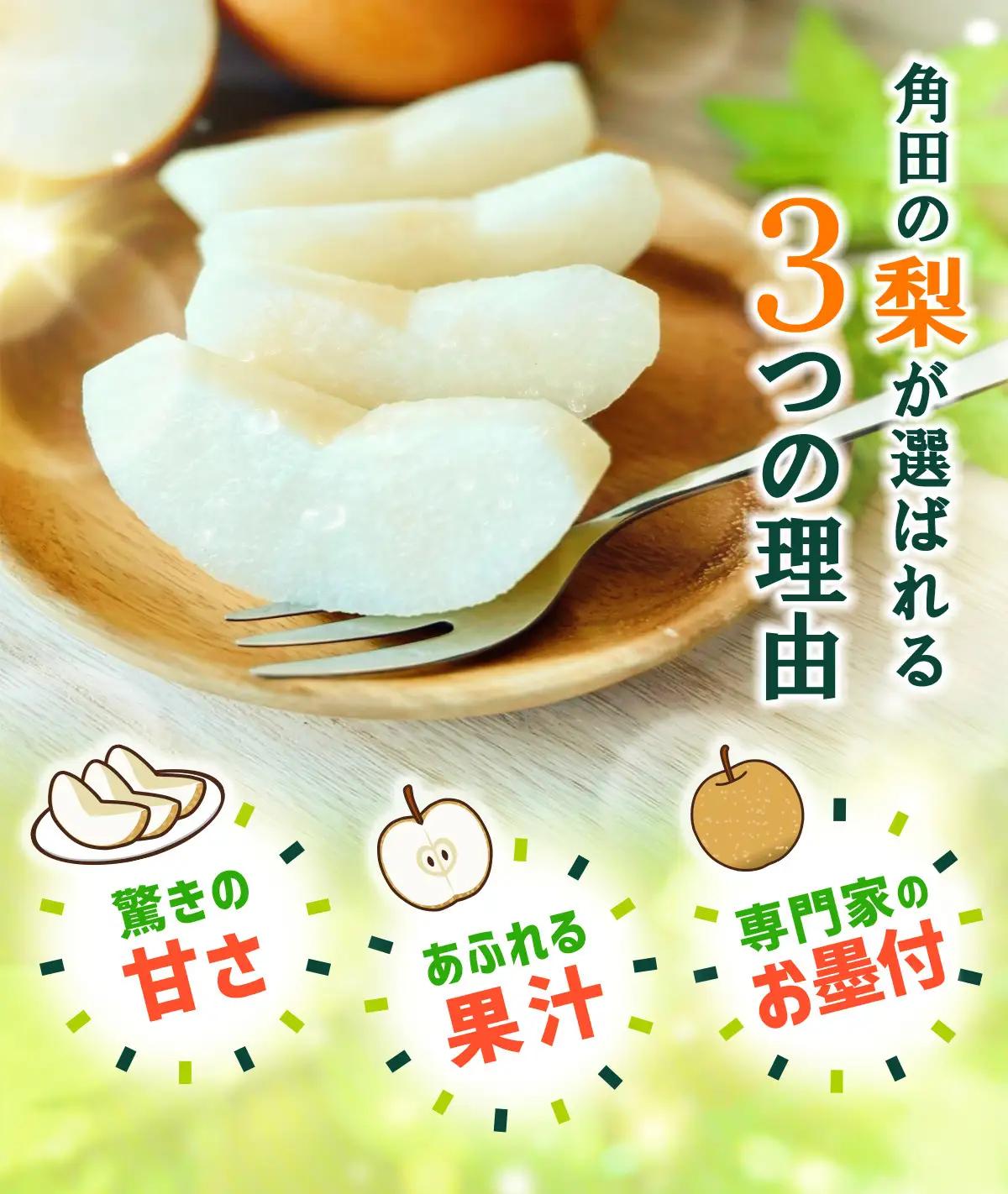 【2026年発送】梨 「甘太」約3kg（3～5玉入）【松崎果樹園】 ｜ 梨 