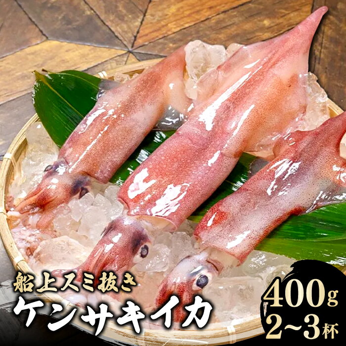 【ふるさと納税】 船上スミ抜き ケンサキイカ 400g 2～3杯 いか 剣先いか 烏賊 イカ ケンサキイカ 贅沢 刺身 おかず おつまみ お酒 冷凍 地物 天然物 新鮮 真空パック 旨い 海産物 魚介類 獲れたて 島根県 大田市