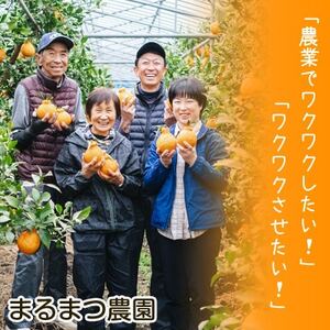 【2025年5月順次発送】濃厚なコクと甘さ 長期熟成しらぬい 3kg 農家直送 和歌山県産【1550279】