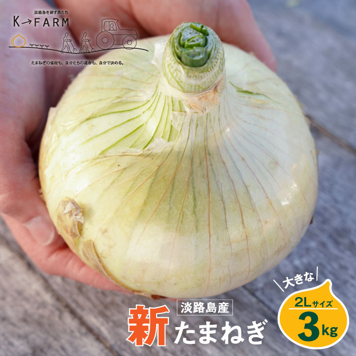 【新たまねぎ】淡路島たまねぎ 大きな2Lサイズ 3kg【発送時