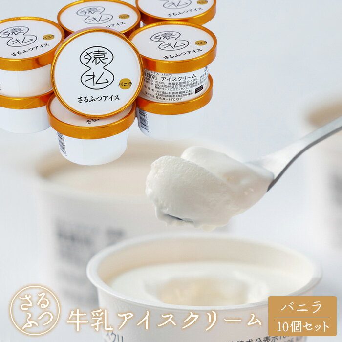 【ふるさと納税】さるふつ牛乳アイスクリーム バニラ10個セット【03028】