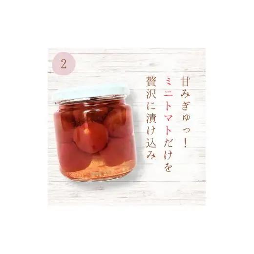 メルカドレグメス　ピクルス　3種セット ／ ピクルス ミニトマト うずらの卵 旬の野菜 自家製 セット 詰め合わせ