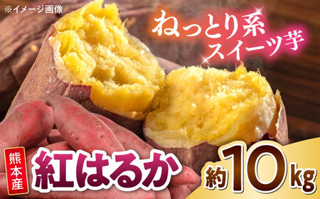 紅はるか 秀品 約10kg S～2Lサイズ混合　さつまいも さつまいも さつまいも さつまいも さつまいも さつまいも さつまいも　[AYAT005]