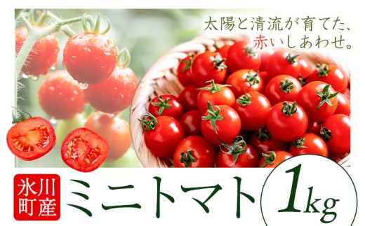 ミニトマト 約1kg 氷川アグリクラブ トマト 熊本《12月上旬-4月下旬頃出荷》熊本県 氷川町 野菜 熊本県産 サラダ プチトマト 国産