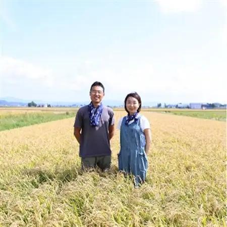 【特A・1等級】北海道産ななつぼし 白米5kg 北海道長沼町産_ 精米 米    ななつぼし 米 _【配送不可地域：離島】【1263654】