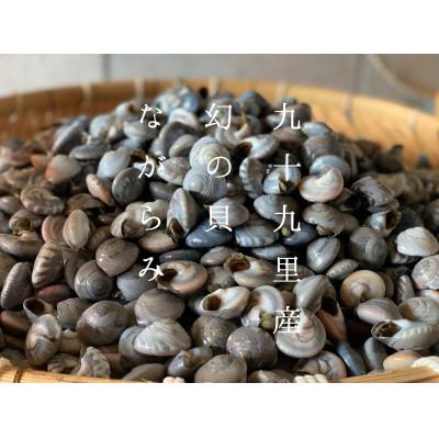 ふるさと納税 旭市 九十九里産!釜茹で「ながらみ」2kg(1kg×2P)