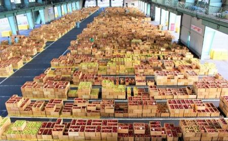 りんご詰合せ サンふじ王林 青森県産 家庭用 りんご詰合せ【約5kg】【2月発送】
