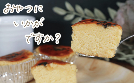 銚子ポテト15個 スイートポテト 無添加 焼き菓子 スイートポテト スイートポテト スイートポテト 千葉県 銚子市 お菓子の工房ダイモン