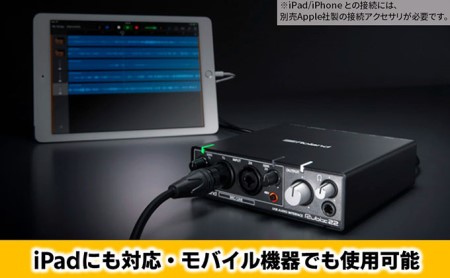 【Roland】USBオーディオインターフェース/RUBIX22【配送不可：離島】 携帯 携帯アクセサリー OA機器 タブレット PC 音響機器 