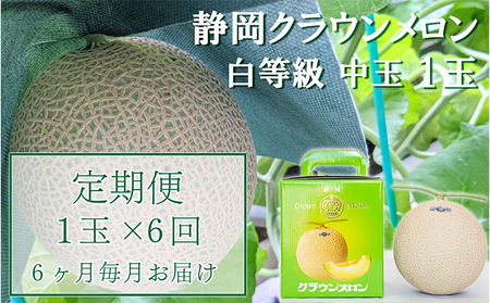 メロン クラウン 並 中玉 1玉 定期便 6ヶ月 フルーツ メロン