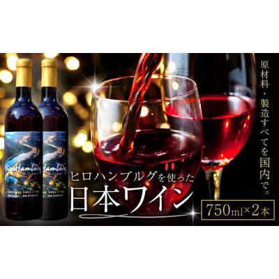 ふるさと納税 矢掛町 酒 日本ワイン 750ml 2本 矢掛放送 岡山県矢掛町《30日以内に出荷予定(土日祝除く)》