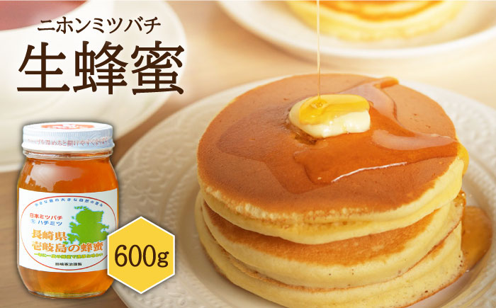 ニホンミツバチ 生蜂蜜 600g×1 《壱岐市》【憲ちゃんハチミツ】[JCL001] はちみつ 蜂蜜 日本蜜蜂 30000 30000円