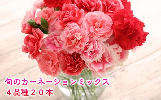 
										
										<選べる配送月> 北海道 カーネーション ミックス 4品種 20本以上 花 花束 切花 ブーケ 旬 季節 詰め合わせ 生花 フラワー アレンジメント 産地直送11月お届け
									