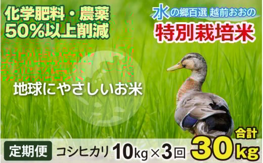 【令和7年産 新米】【3ヶ月定期便】こしひかり 10kg × 3回 計30kg【白米】減農薬・減化学肥料 「特別栽培米」－地球にやさしいお米－
