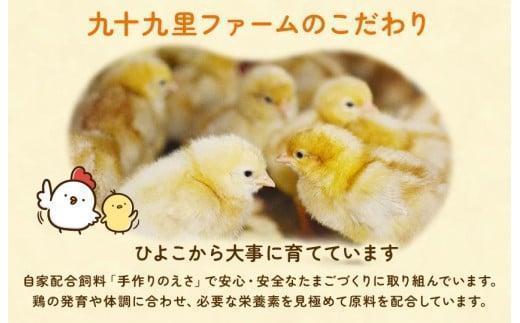 【定期便9回】九十九里ファームこだわりたまご贈答用 180個 ～あおい海・みどりの里～《白玉》 たまご 卵 玉子 タマゴ 白玉 卵かけご飯 新鮮 旨み 甘み 贈答用 贈答 ギフト 贈り物 千葉県 匝瑳