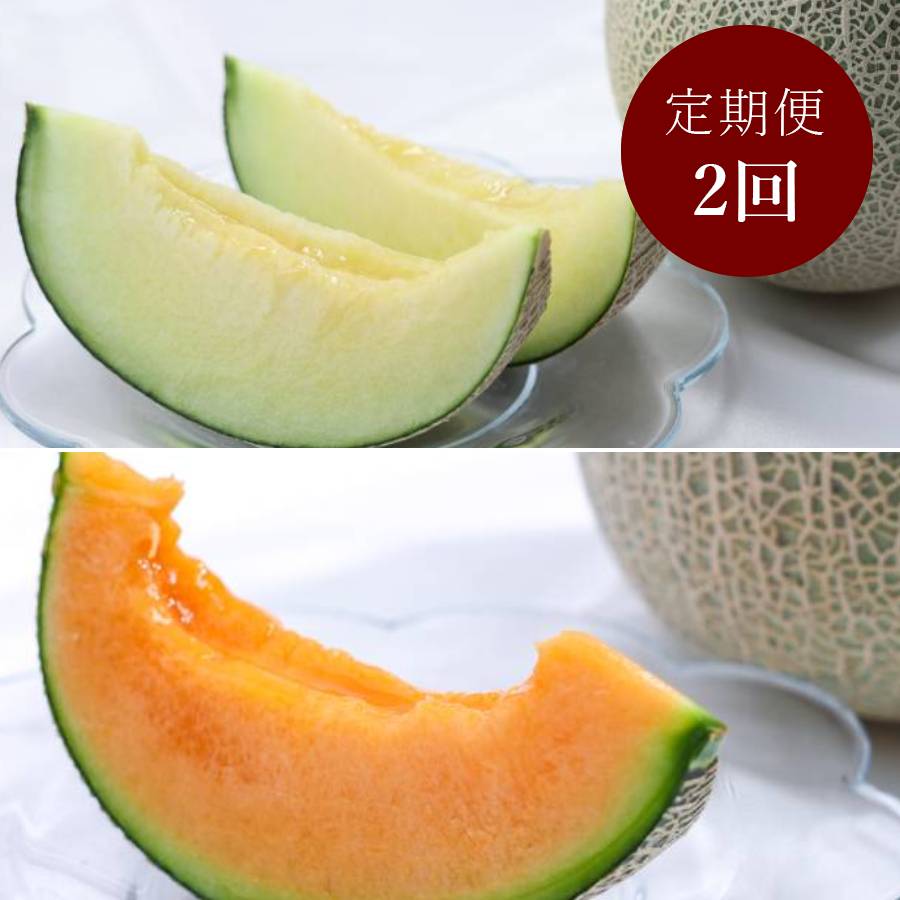 ＜山一ファーム＞旬の時期にお届け 茨城県産 2種のメロンの定期便B