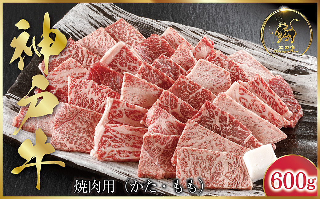 
            神戸牛 焼肉用 600g (ASGY2) 【申込急増・発送期日最長３～４か月前後】 ふるさと納税 牛肉 ブランド和牛 国産 和牛 神戸牛 神戸ビーフ 焼肉  バーベキュー かた もも 太田家 兵庫県 神戸 但馬 朝来 朝来市 
          