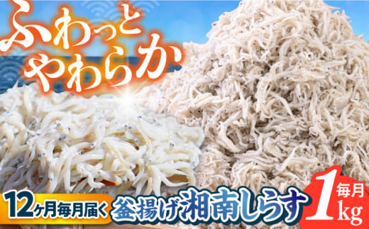 【全12回定期便】釜揚げ 湘南しらす 1kg / しらす 湘南 ふわふわ 食感 冷凍 国産 シラス お取り寄せ 人気 大容量 佐島 横須賀 かながわブランド 神奈川県【平敏丸】 [AKEZ013]