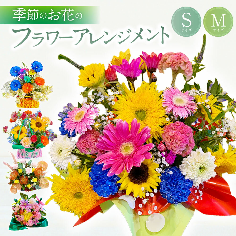 【ふるさと納税】【選べるサイズ】 季節のお花のフラワーアレンジメント Sサイズ / Mサイズ お花 花 アレンジメント 季節の花 旬の花 葉物 花束 インテリア 飾り プレゼント 贈り物 冷蔵 大阪府 阪南市 送料無料