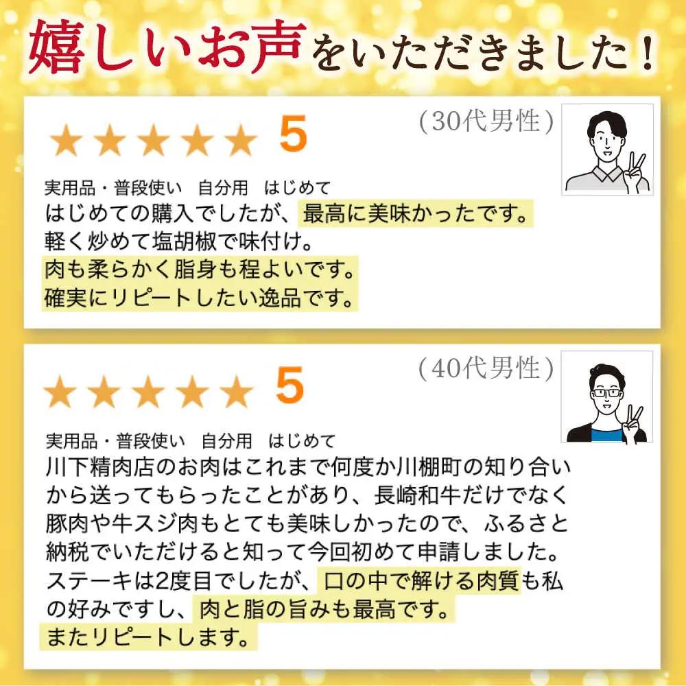牛肉 長崎和牛サーロインステーキ 計690g[OAA006] 牛肉ステーキ