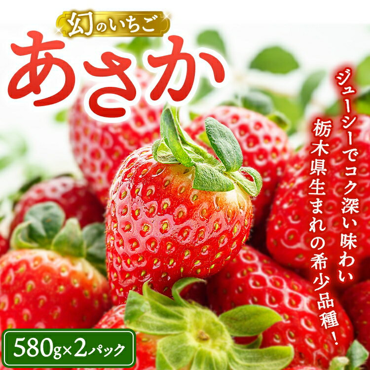 【ふるさと納税】《数量限定》幻のいちごあさか15粒（580g×2パック） ｜ いちご イチゴ 苺 栃木県 果物 フルーツ 新鮮 贈答 ギフト 高級 希少 ※2026年1月中旬～2月中旬頃に順次発送予定