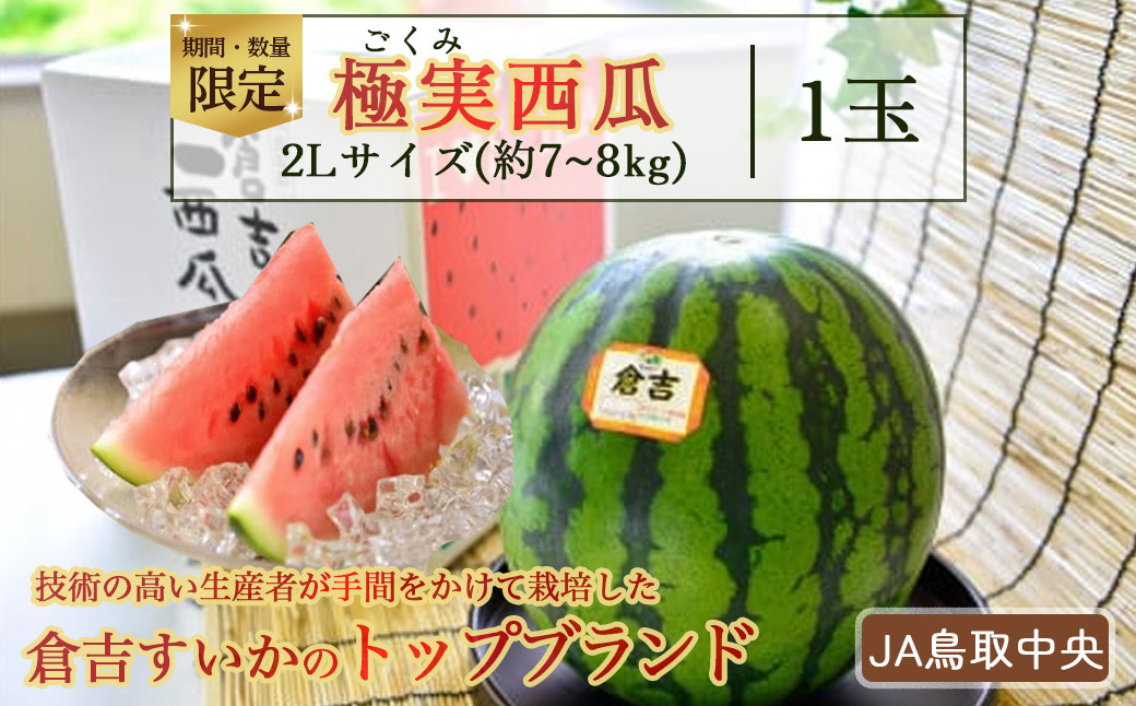 
                  極実西瓜1玉 2L 【JA鳥取中央】 すいか 鳥取 果物 フルーツ スイカ 数量限定 期間限定
                