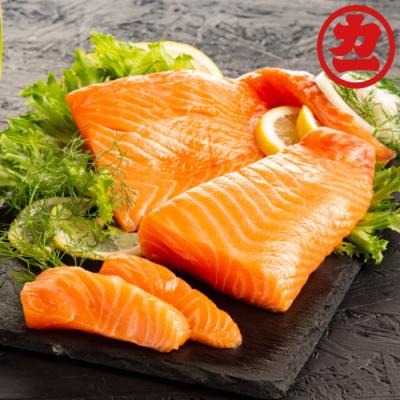 ふるさと納税 紋別市 ガリンコサー紋