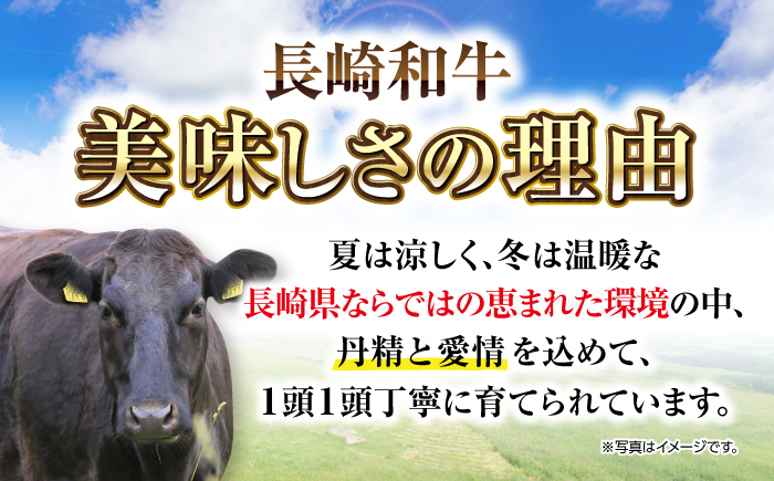 【厳選希少部位】長崎和牛 ミスジステーキ 約1kg（100g×10枚）《壱岐市》【株式会社MEAT PLUS】 肉 牛肉 和牛 ミスジ ステーキ ご褒美 ギフト 贈答用 ご褒美 冷凍配送  [JGH0
