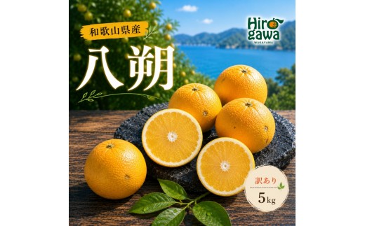 
                  八朔 訳あり 5kg【hkt021-c-5】
                