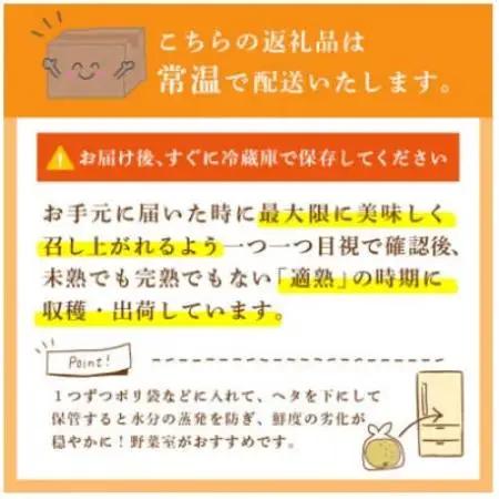 にっこり 梨 5kg (8～12玉)【2026年発送】かすみがうら市【配送不可地域：離島・沖縄県】【1743818】