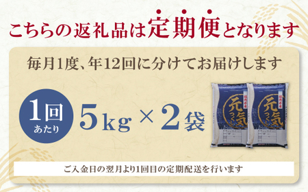 M17-87-01 研ぐお米福岡県産・元気つくし10kg定期便(毎月・年12回)