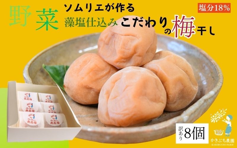 
                  【塩分 18％】和歌山県 紀州南高梅 野菜ソムリエが作る藻塩仕込み こだわりの梅干し 訳あり ８個入り kkbc002
                