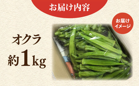 【先行予約】オクラ　約1㎏（7月）【鈴也ファーム】[AKCE023]