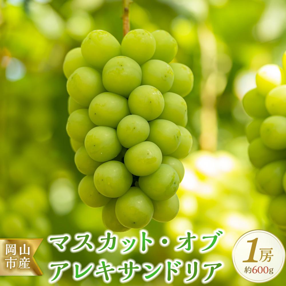【ふるさと納税】＜2026年9月上旬～9月中旬発送＞岡山市産 マスカット・オブ・アレキサンドリア 1房 約600g ぶどう 葡萄 | フルーツ 果物 くだもの 食品 人気 おすすめ 送料無料