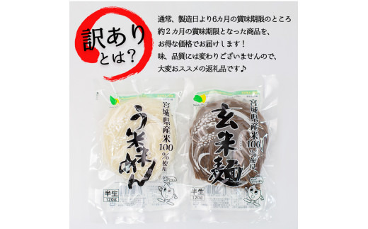 【訳あり】つるもち食感！グルテンフリー米麺 詰め合わせ20食（精米・玄米 各10食ずつ）【25103】
