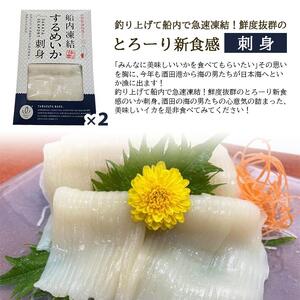SB0206　yamagata made 詰合せセット(船凍いかの刺身と塩辛2種セット) 化粧箱入