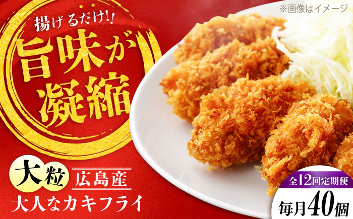 
            【全12回定期便】牡蠣 冷凍 こだわり大粒の『大人なカキフライ』【瞬間冷凍】40個入り 牡蠣 かき カキ 大粒 かき 海鮮 和食 海産物 広島県産 江田島市/有限会社マルイチ水産 [XCU010]
          