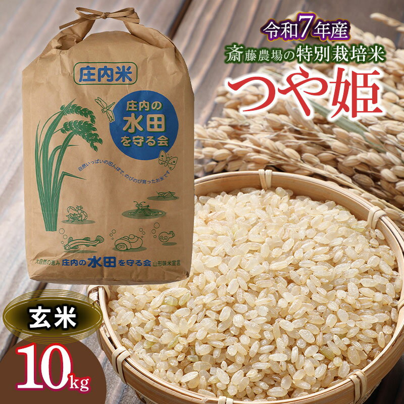 【ふるさと納税】令和7年産【新米】斎藤農場の特別栽培米 つや姫 玄米 10kg K-7117