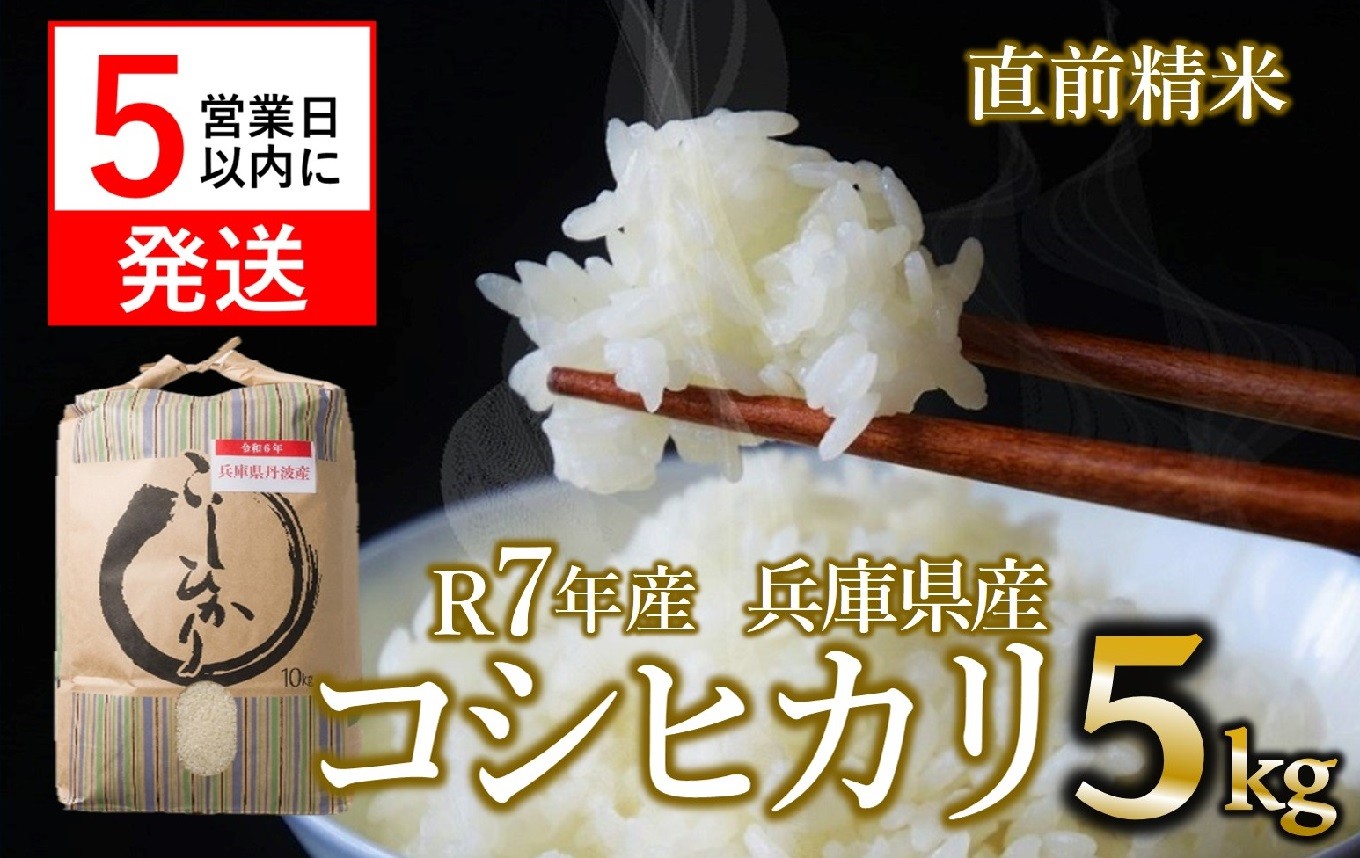 
                  【スピード発送】コシヒカリ 5kg 白米 令和７年産 米 お米 5kg 米5kg 兵庫県産 こしひかり コシヒカリ 西脇市産 令和7年産 R7年産 2025年産 精米
                
