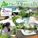 【ふるさと納税】北海道 摘みたて ハーブティー 作り 体験 2枚 ハーブ ティー お茶 紅茶 フレッシュ オリジナル ハーブ畑 天然 無農薬 リラックス 癒し リラクゼーション ハーバルランチ 送料無料 洞爺湖　洞爺湖町