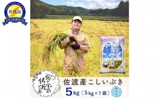 佐渡島産こしいぶき 無洗米5Kg 令和7年 ～農薬5割減～ 農家直送