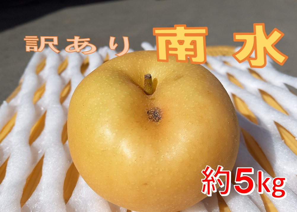 
            【013-39】令和7年9月中旬ごろより発送　本当に甘い信州が生んだ甘い梨！訳あり　南水　約5キロ（なし・梨・ナシ・なんすい）
          