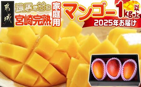 【先行受付!】宮崎完熟マンゴー家庭用1kg以上(都城産)_MJ-3311_(都城産) 特大4Lサイズ(500g以上)2玉 L～3Lサイズ3玉～5玉など組合わせで合計1kg以上 宮崎マンゴー 産地直送 規格外