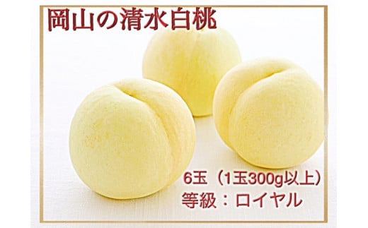 Iz-1　【令和7年発送・先行予約】岡山県産　清水白桃（1玉300ｇ以上）6玉　等級：ロイヤル　化粧箱入り