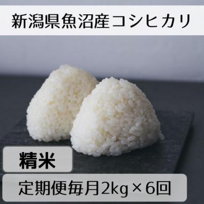 ふるさと納税 十日町市 【毎月定期便】新潟県魚沼産コシヒカリ「山清水米」精米2kg全6回