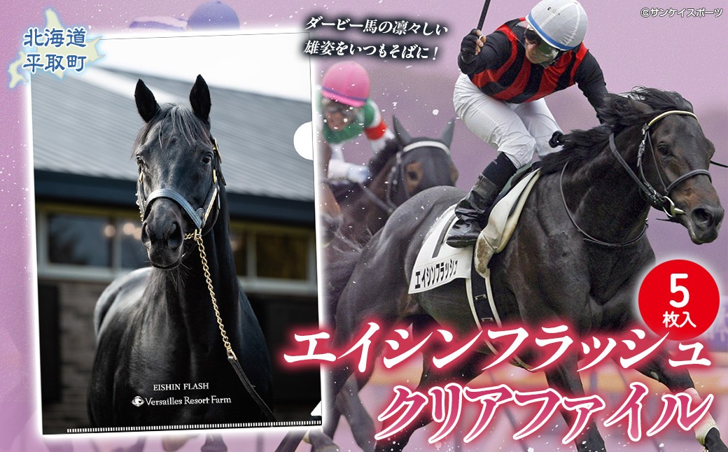 
                  【エイシンフラッシュ】クリアファイル5枚入り  【ふるさと納税 人気 おすすめ ランキング 馬 競馬 競走馬 引退馬 エイシンフラッシュ 日高 北海道 平取町 びらとり 送料無料】 BRTV033 
                