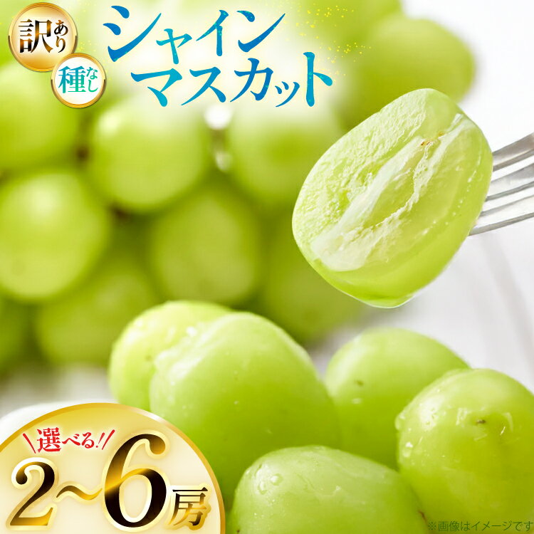 【ふるさと納税】 【期間限定発送】 シャインマスカット 訳あり 選べる 内容量 約1.2kg〜約2.4kg [山形県 高畠町 Yamagenフルーツガーデンレコルト] ご家庭用 ぶどう ブドウ 葡萄 フルーツ 果物 くだもの 甘い