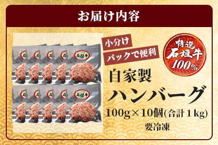 石垣牛ハンバーグ100g10個（八重山パーツミート）I-9-1