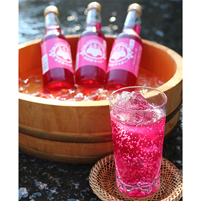 
赤しそサイダー　　250ml　×12本【1004051】
